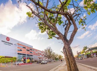 Partage Campina Grande promove programação especial em março
