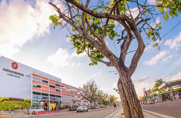 Partage Campina Grande promove programação especial em março