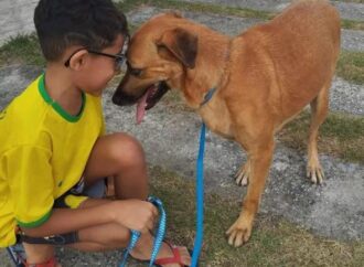 Abril Laranja: Governo do Estado realiza Dia S de solidariedade aos animais em Campina Grande