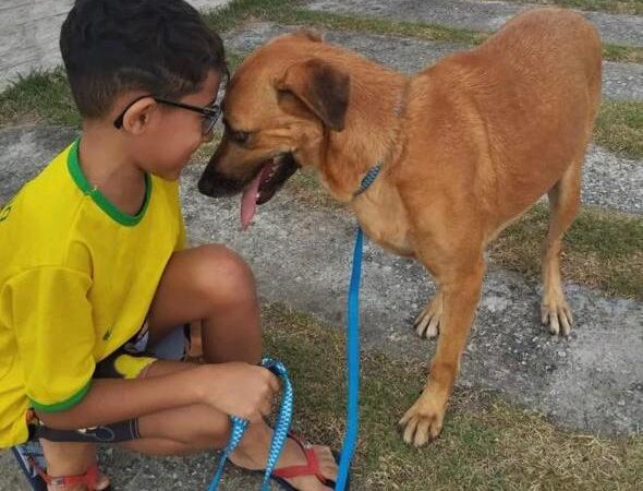 Abril Laranja: Governo do Estado realiza Dia S de solidariedade aos animais em Campina Grande