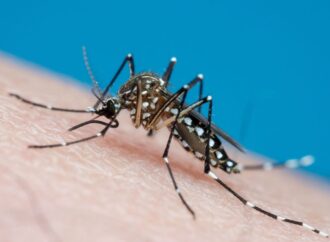 Ministério da Saúde relata melhoria no cenário da dengue na Paraíba