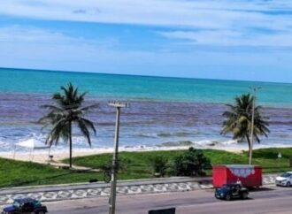 Canais da Prefeitura de João Pessoa para denúncias de crimes ambientais estão ativos todos os dias
