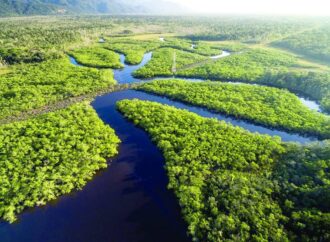 Brasil e vizinhos criam ‘Rota Amazônica’ para ligação direta com quatro portos do Pacífico