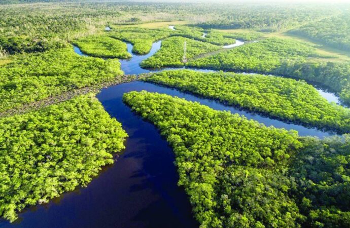 Brasil e vizinhos criam ‘Rota Amazônica’ para ligação direta com quatro portos do Pacífico