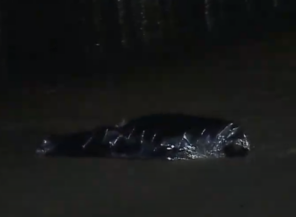 Corpo de homem é encontrado na praia de Tambaú