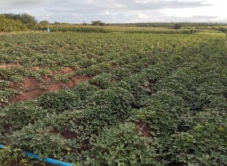 Seagri fecha parceria para levar novos benefícios aos agricultores familiares de Campina Grande