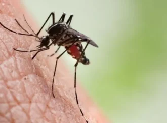 Dengue: Paraíba registra quase 10 mil casos prováveis em 2024 e tem seis mortes confirmadas