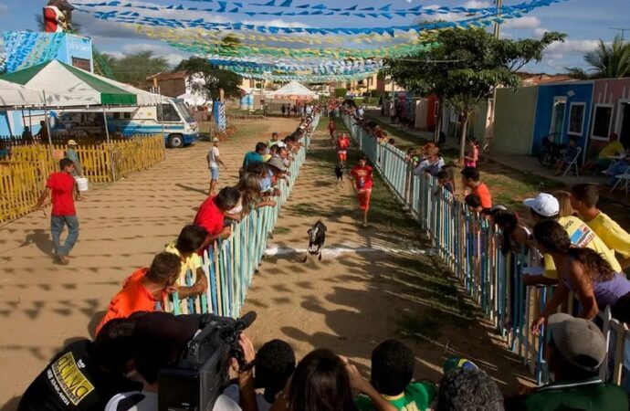 Festa do Bode Rei: confira a programação da tradicional festa de Cabaceiras