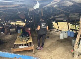 Trabalhadores análogos à escravidão são resgatados em Taperoá, na Paraíba