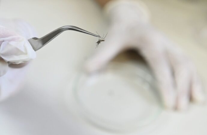 Número de mortes por dengue na Paraíba em 2024 já ultrapassa todo o ano de 2023