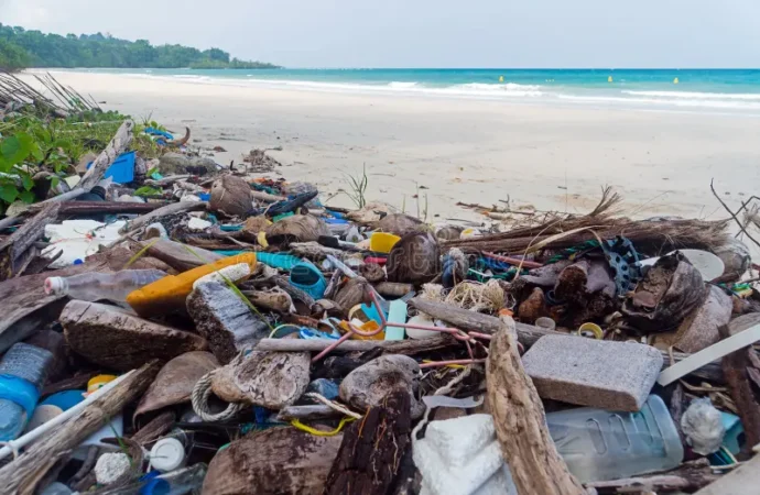 Iniciativa da UFPB contra poluição no litoral é reconhecida como ação da Década do Oceano pela UNESCO