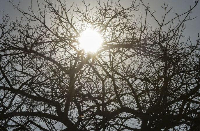 Inmet divulga alerta de baixa umidade para 16 cidades paraibanas; saiba quais