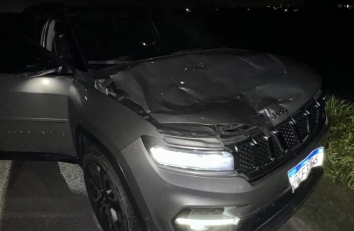 Carro do cantor Zé Vaqueiro colide com animal, na Paraíba