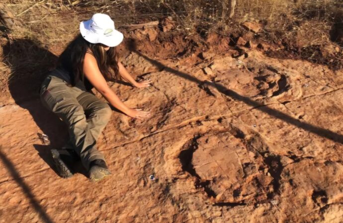 Descoberta de pegadas de dinossauros no Sertão da Paraíba revela vestígios de animais pré-históricos