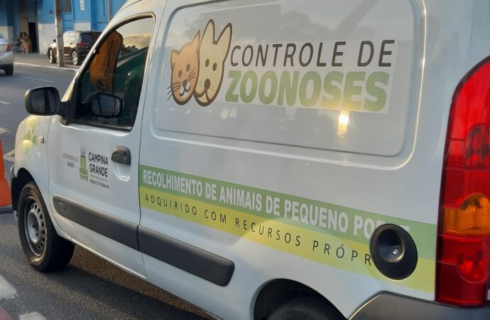 Vídeo mostra animais de grande porte mortos no Centro de Zoonoses