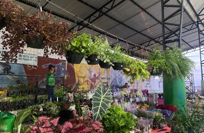 Festival das Flores promete encantar os turistas e celebrar a chegada da primavera na cidade de Areia