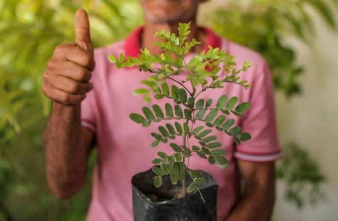 Lagoa Seca é destaque na Agricultura familiar: programas ajudam o homem do campo