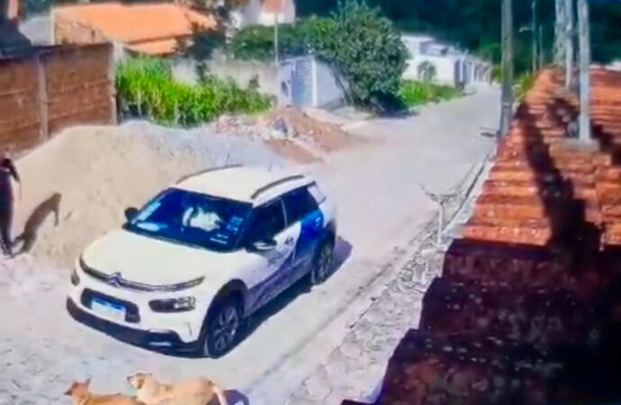 Carro de Prefeitura de Lagoa Seca atropela e mata cachorro nesta segunda