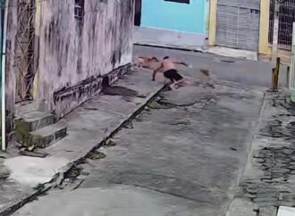 Idoso é mordido por cães na Liberdade e sofre ferimento grave; tutor ignora ataque