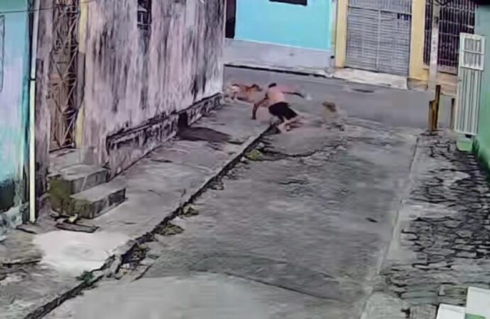 Idoso é mordido por cães na Liberdade e sofre ferimento grave; tutor ignora ataque