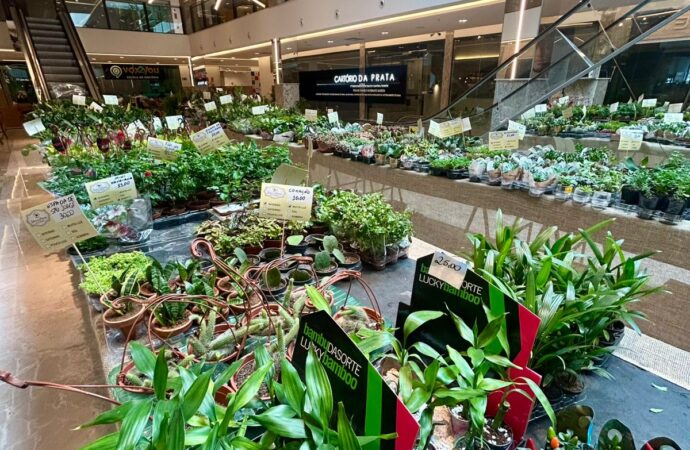 Feira de Flores de Holambra Encanta Visitantes no Mundo Plaza Mall até 30 de Maio