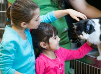 Tio Patinhas: Evento de adoção de cães e gatos acontece neste sábado em supermercado de Campina Grande