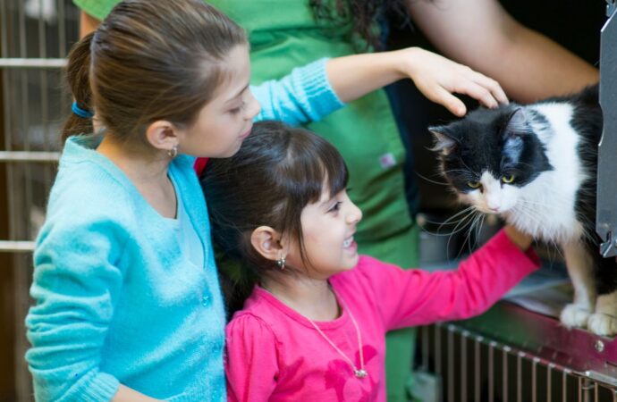Tio Patinhas: Evento de adoção de cães e gatos acontece neste sábado em supermercado de Campina Grande