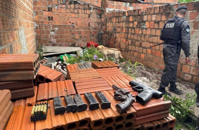 Cachorro da Polícia encontra armas de fogo enterradas por facção criminosa na Paraíba