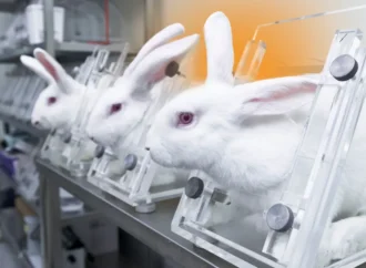 Fim da crueldade: lei proíbe testes em animais para cosméticos no Brasil