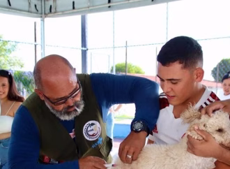 Campina Grande realiza Dia D de vacinação contra a raiva animal neste sábado (27)