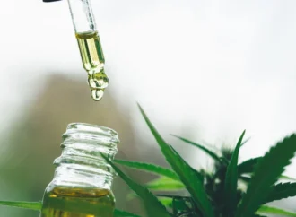 Anvisa atualiza normas e amplia uso de produtos à base de cannabis medicinal