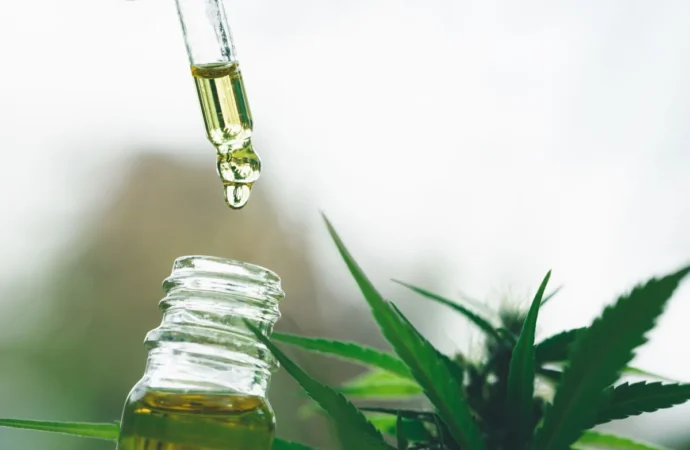 Anvisa atualiza normas e amplia uso de produtos à base de cannabis medicinal