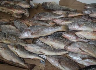 Pesquisas encontram variação de até 125% no preço do peixe em João Pessoa para a Semana Santa