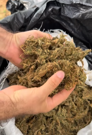 Polícia Civil apreende quase meio milhão de reais em drogas no cariri paraibano