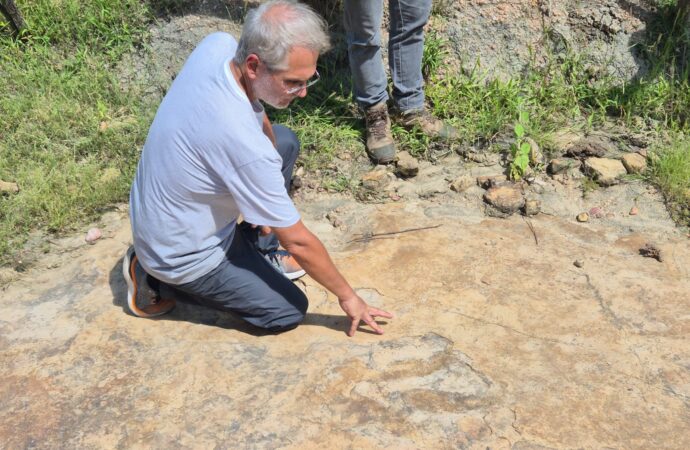 Pesquisa aponta descoberta da maior pegada de dinossauro do Brasil em Sousa, na Paraíba