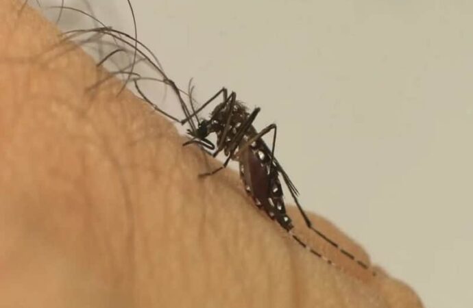 Casos de dengue aumentam na Paraíba