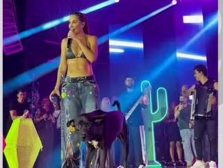 Michele Andrade adota cachorro que invadiu palco durante gravação