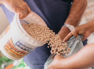 Ação da Prefeitura de Cuité distribui 1,8 toneladas de sementes para agricultores do município