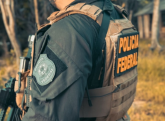 Plantação de 18 mil pés de maconha é identificada pela Polícia Federal, no Sertão da Paraíba