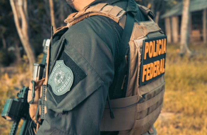 Plantação de 18 mil pés de maconha é identificada pela Polícia Federal, no Sertão da Paraíba