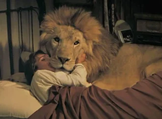 ‘Roar’: filme mais perigoso da história usou leões de verdade e deixou 70 pessoas feridas