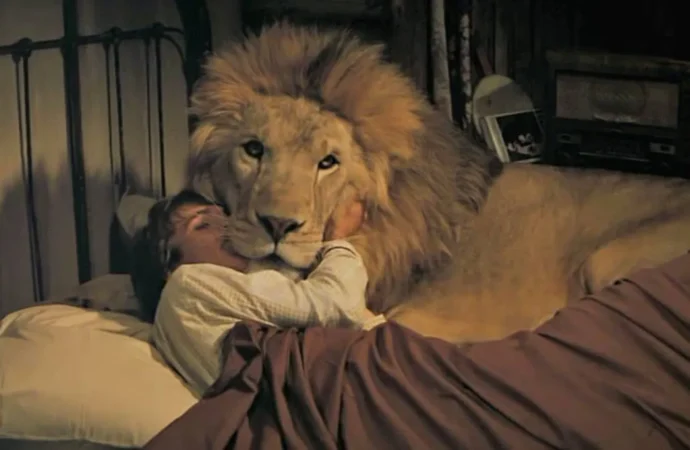 ‘Roar’: filme mais perigoso da história usou leões de verdade e deixou 70 pessoas feridas