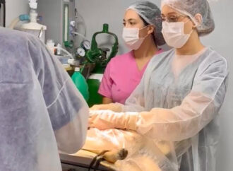 Prefeitura de Cuité realiza ação de castração de animais em parceria com o Castra+ Paraíba