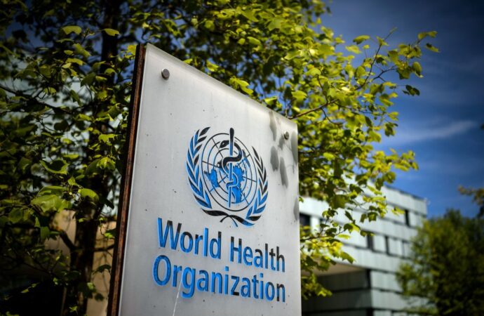 Hantavírus não é Covid e risco de epidemia é baixo, diz OMS