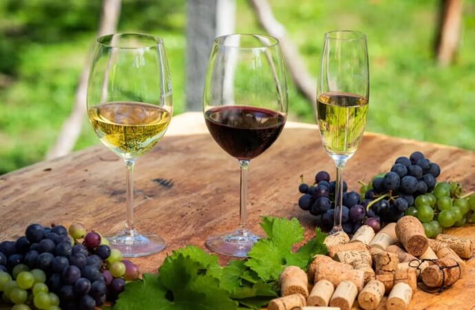 Acordo Mercosul-UE ameaça o preço de vinhos e espumantes nacionais