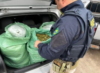 PRF apreende 25 kg de “supermaconha” após perseguição na BR-230, na Paraíba