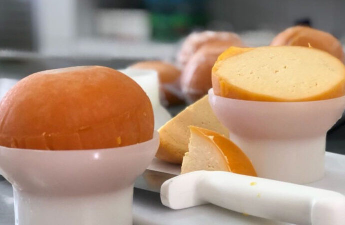 Que tal um queijo do reino à base de leite de cabra? Já existe