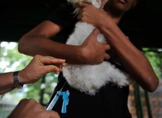 Governo federal publica lei que criminaliza exercício ilegal da medicina veterinária