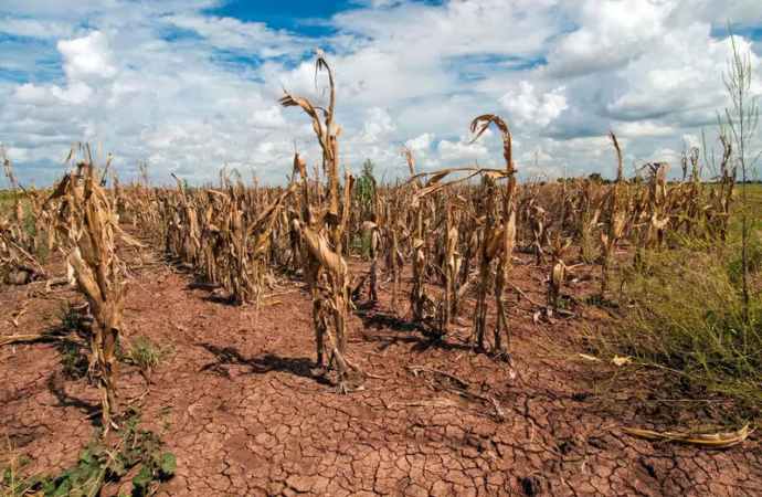 Duas cidades paraibanas entram em situação de emergência por causa da estiagem