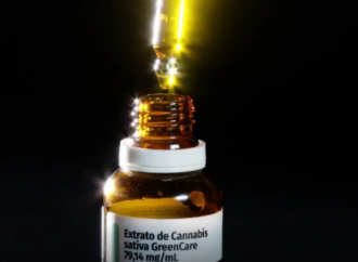 Justiça paraibana autoriza paciente a cultivar cannabis para fins medicinais